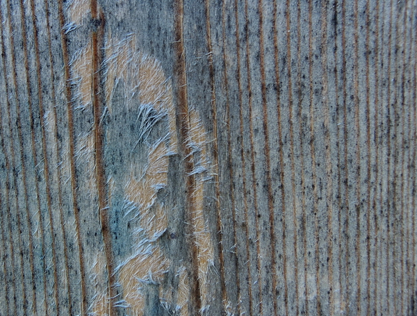 Helle Flecken auf einer verblauten Lärchenholz-Oberfläche